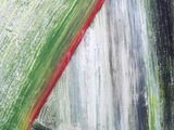 Grün-rot