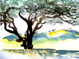 Baum über dem Strand