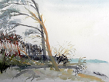 Darß/Weststrand