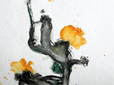 Kaktusblüten